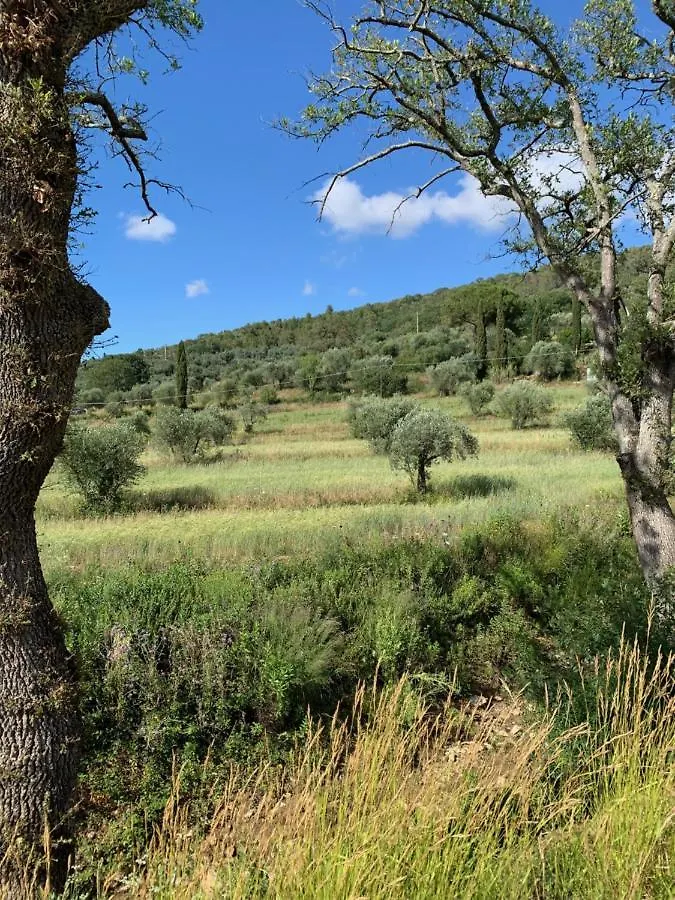 Vila Operaviva Suvereto Farma