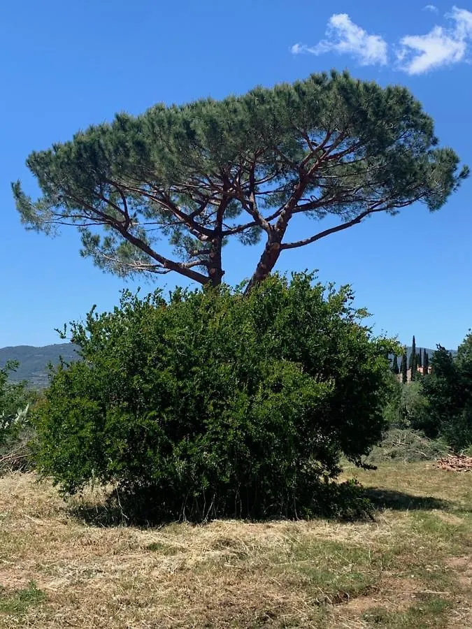 Operaviva Villa Suvereto 0*,