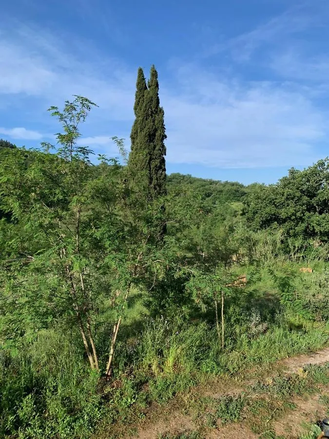 Operaviva Villa Suvereto Farm stay
